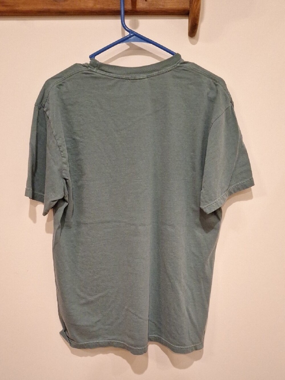 NWOT Baking Raccoon Comfort Colors Tee - Picture 2 of 4
